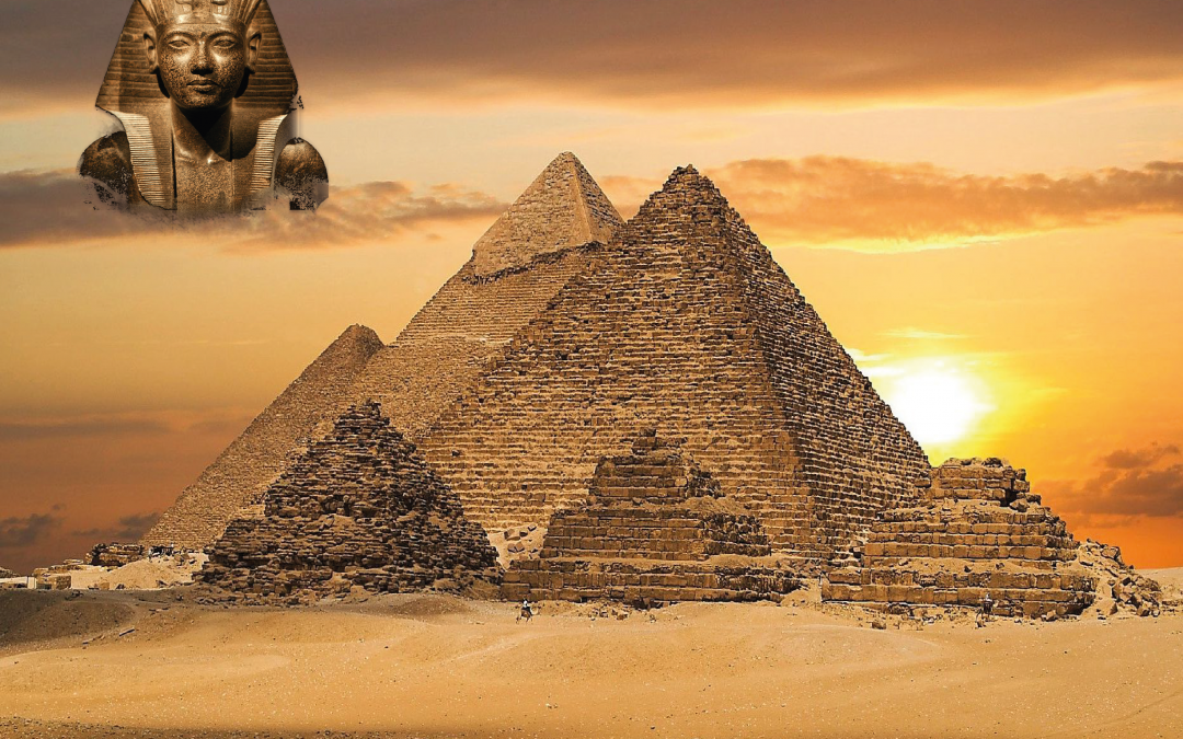 Proyección y coloquio sobre Historia