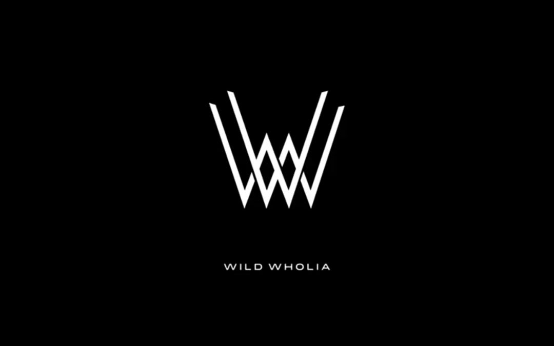 Concierto solidario de Rock/Pop de Wild Wholia
